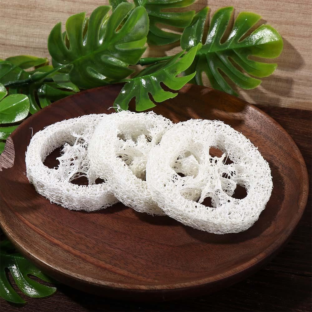Leadigol Natural Loofah Slices – 10-Pack, 2 Inch, 5-7 cm Dia, 1 cm Thick, Body Scrub, Dishwashing & Soap Dish