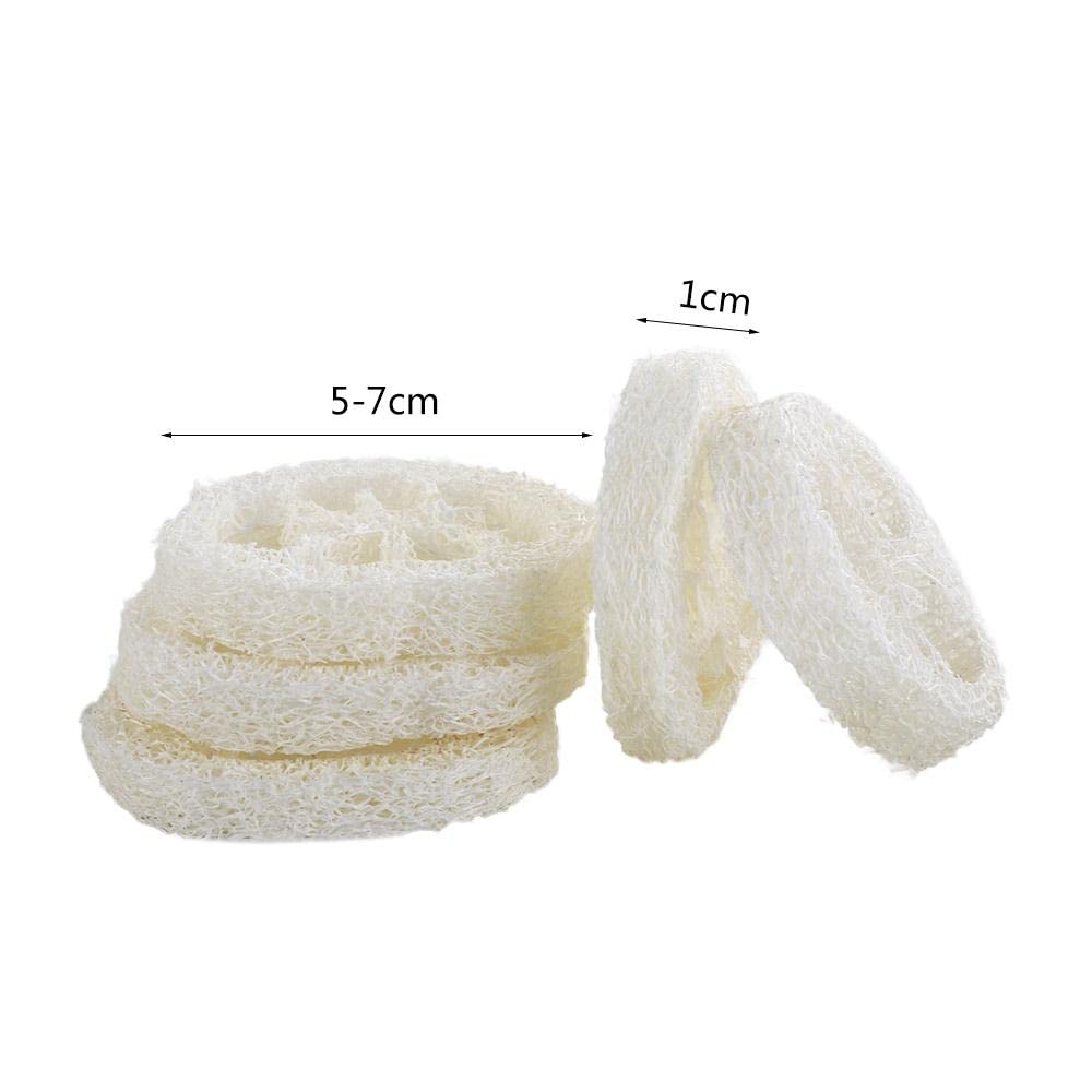 Leadigol Natural Loofah Slices – 10-Pack, 2 Inch, 5-7 cm Dia, 1 cm Thick, Body Scrub, Dishwashing & Soap Dish