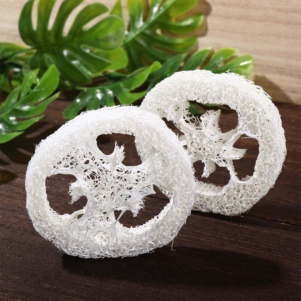 Leadigol Natural Loofah Slices – 10-Pack, 2 Inch, 5-7 cm Dia, 1 cm Thick, Body Scrub, Dishwashing & Soap Dish