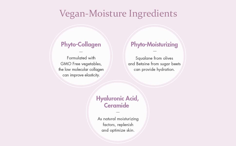 Leegeehaam Dr.Ceuracle Vegan Active Berry Lifting Cream – Antioxidant Moisturizer with Resveratrol Capsules & Cranbetinol