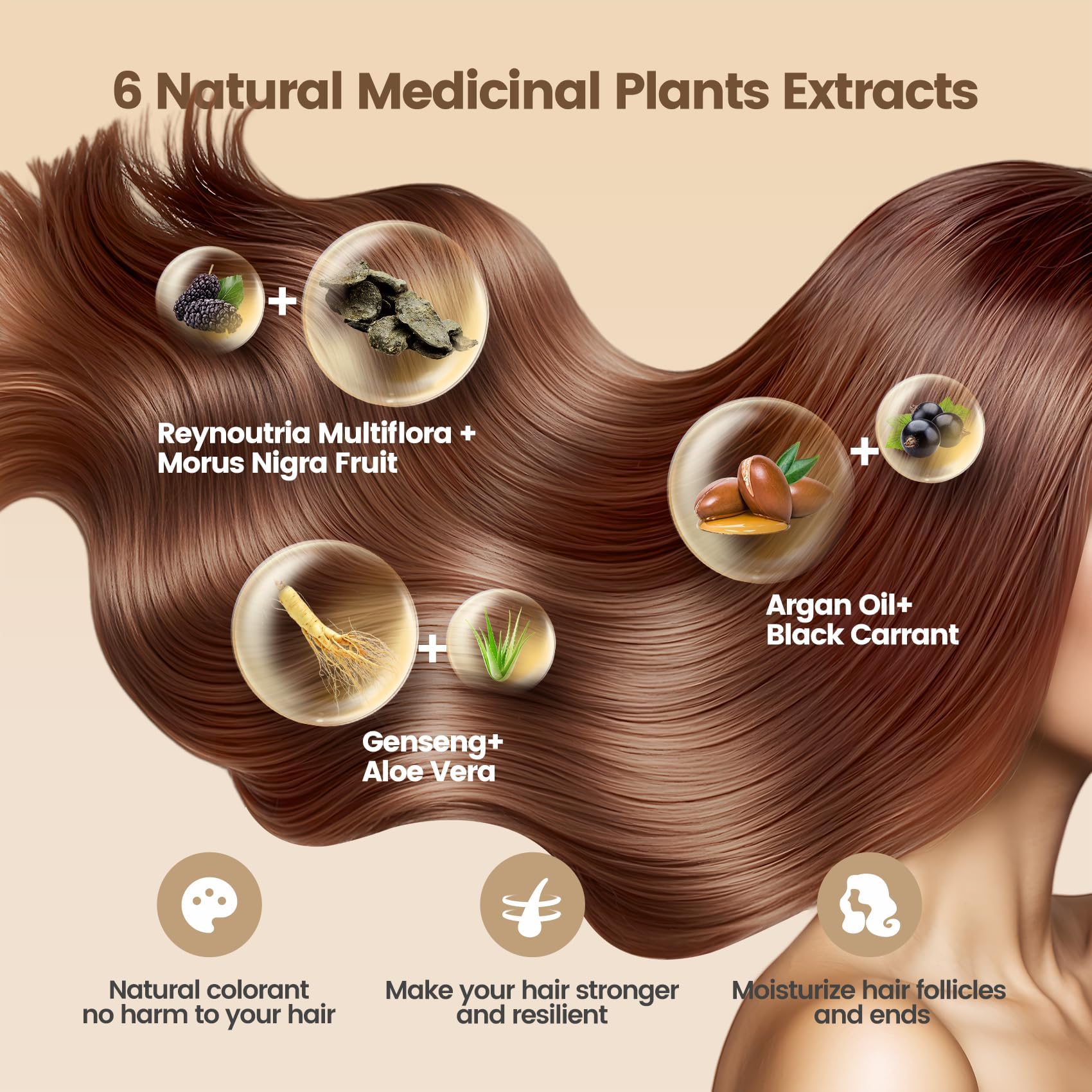 Limer Hair Dye Shampoo Dark Brown – 6-in-1 Herbal Color, Ammonia-Free, Semi-Permanent Gray Coverage (460ml)