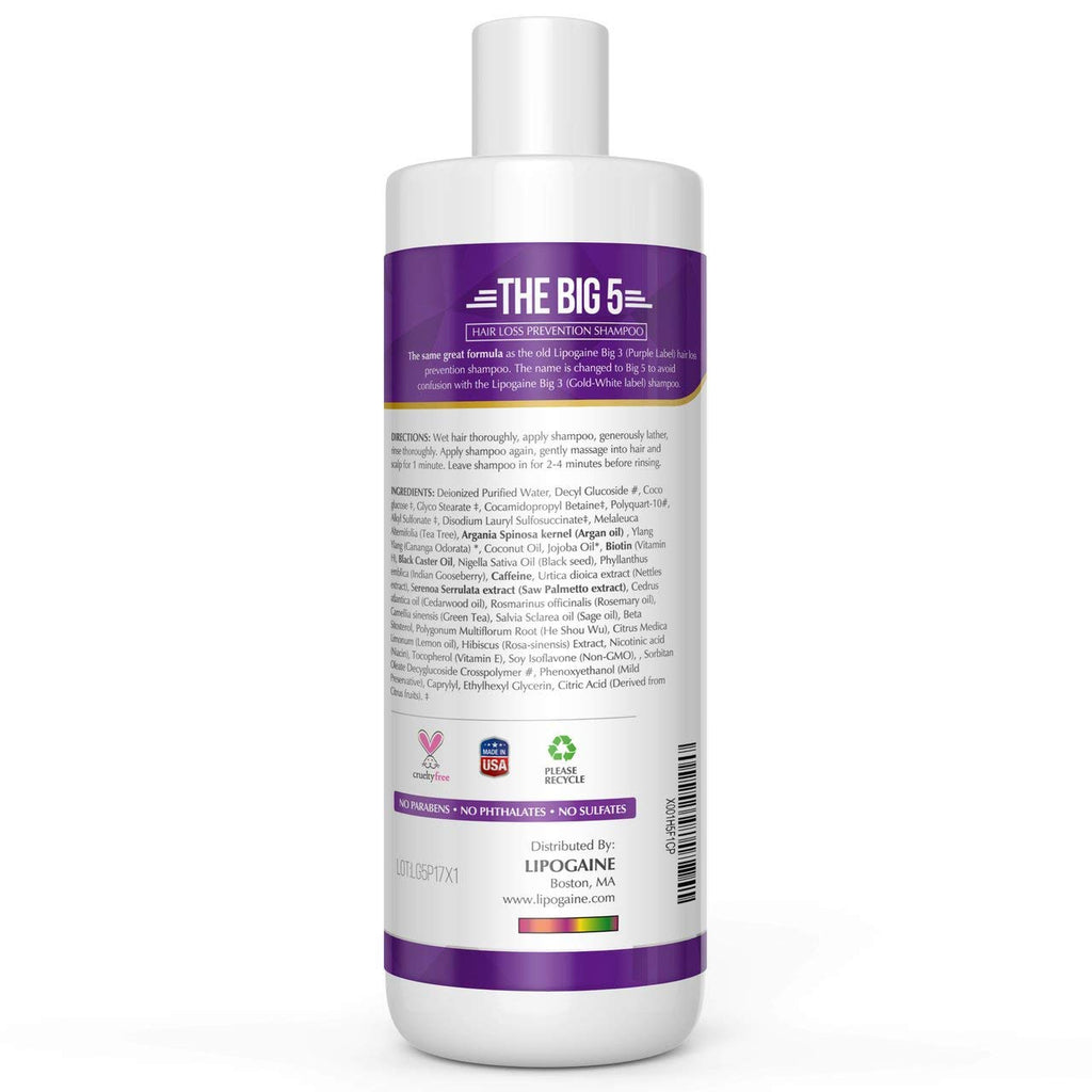 Lipogaine Big 5 Hair Stimulating Shampoo – 16oz All-Natural (Purple)