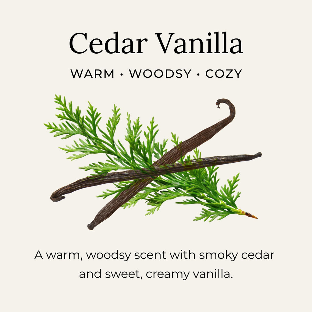 Little Seed Farm Cedar Vanilla All-Natural Deodorant Cream – Aluminum-Free, 2.4oz / 68g