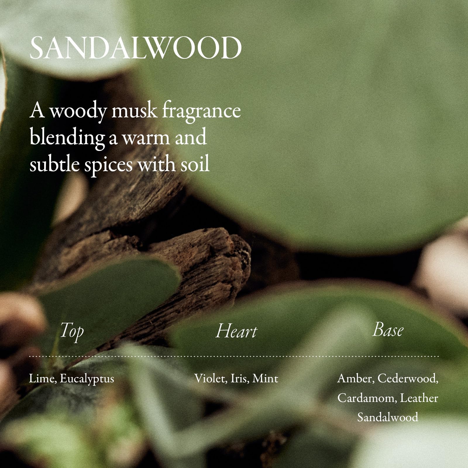 LONGTAKE Sandalwood Intensive Hair Oil 40ml – Heat Protection, Anti-Frizz, Split End Repair | All Hair Types