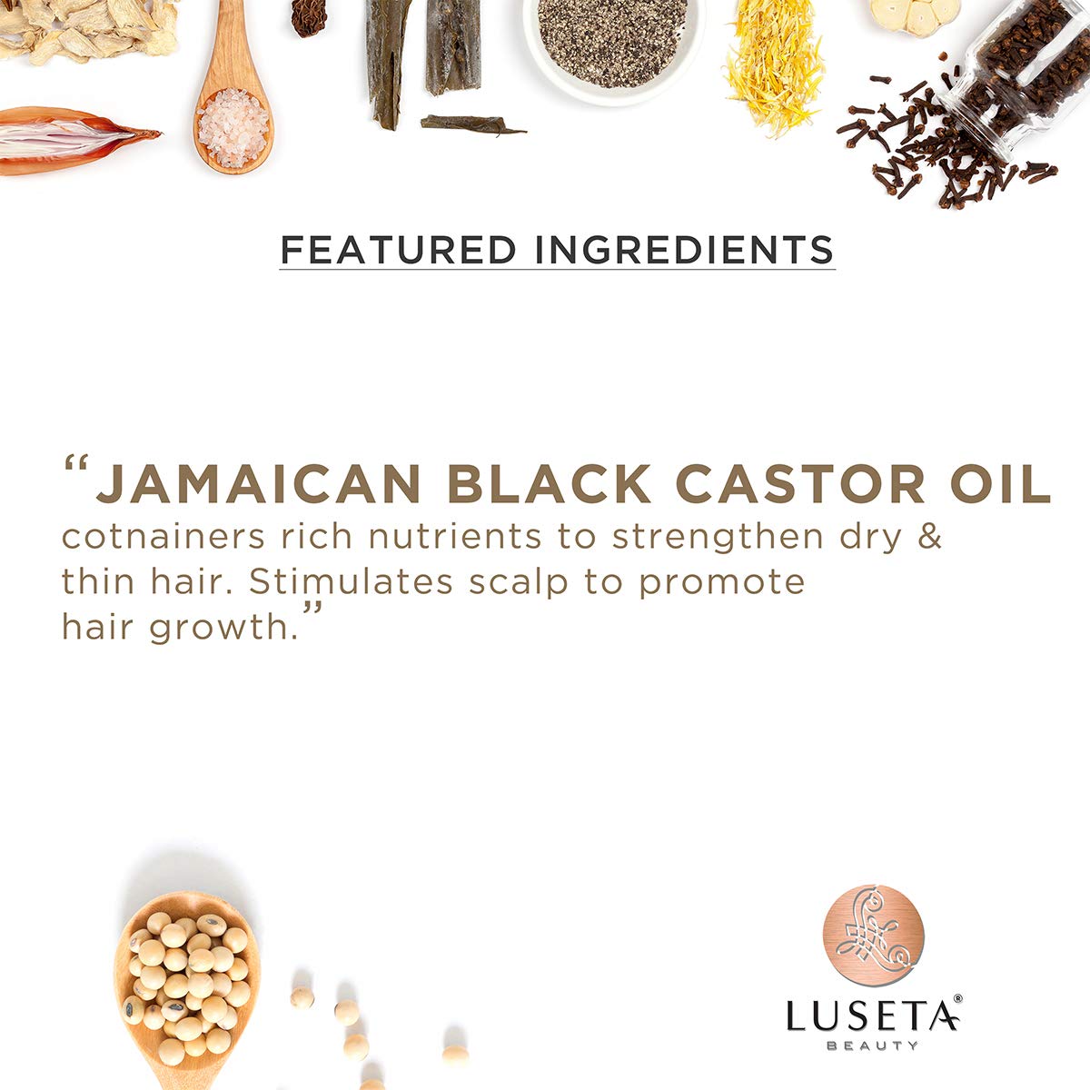 Luseta Jamaican Black Castor Oil Conditioner for Fine, Dry Hair – 16.9oz