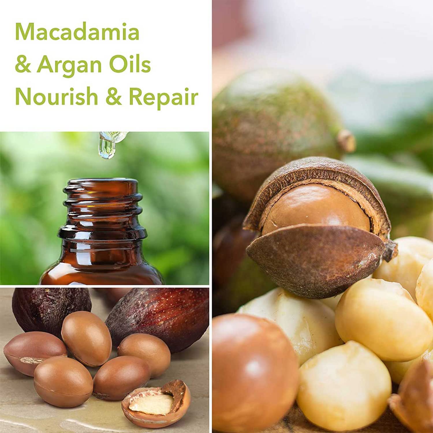 Macadamia Professional Nourishing Shampoo – Sulfate & Paraben Free, 10 oz