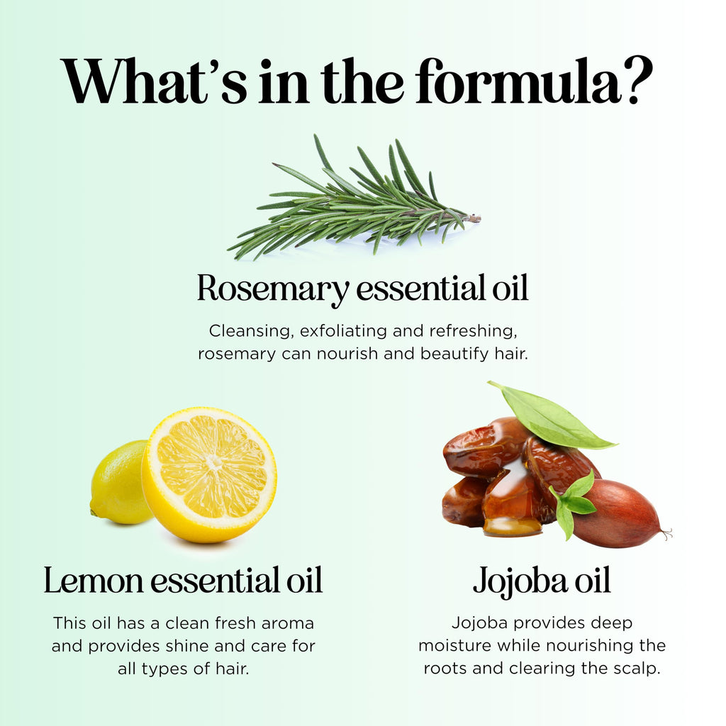 Maple Holistics Clarifying Shampoo for Oily Hair and Scalp | Deep Cleansing with Rosemary Oil | Vegan, Color Safe, Sulfate & Paraben Free (12 fl oz)