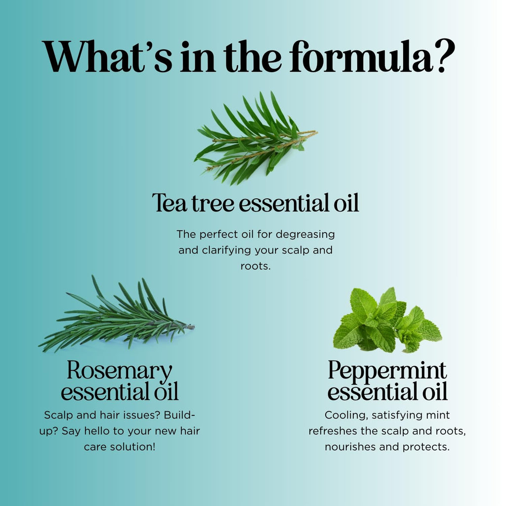 Maple Holistics Rosemary Tea Tree Mint Shampoo – Clarifying & Sulfate-Free for Dry Scalp (8 oz)