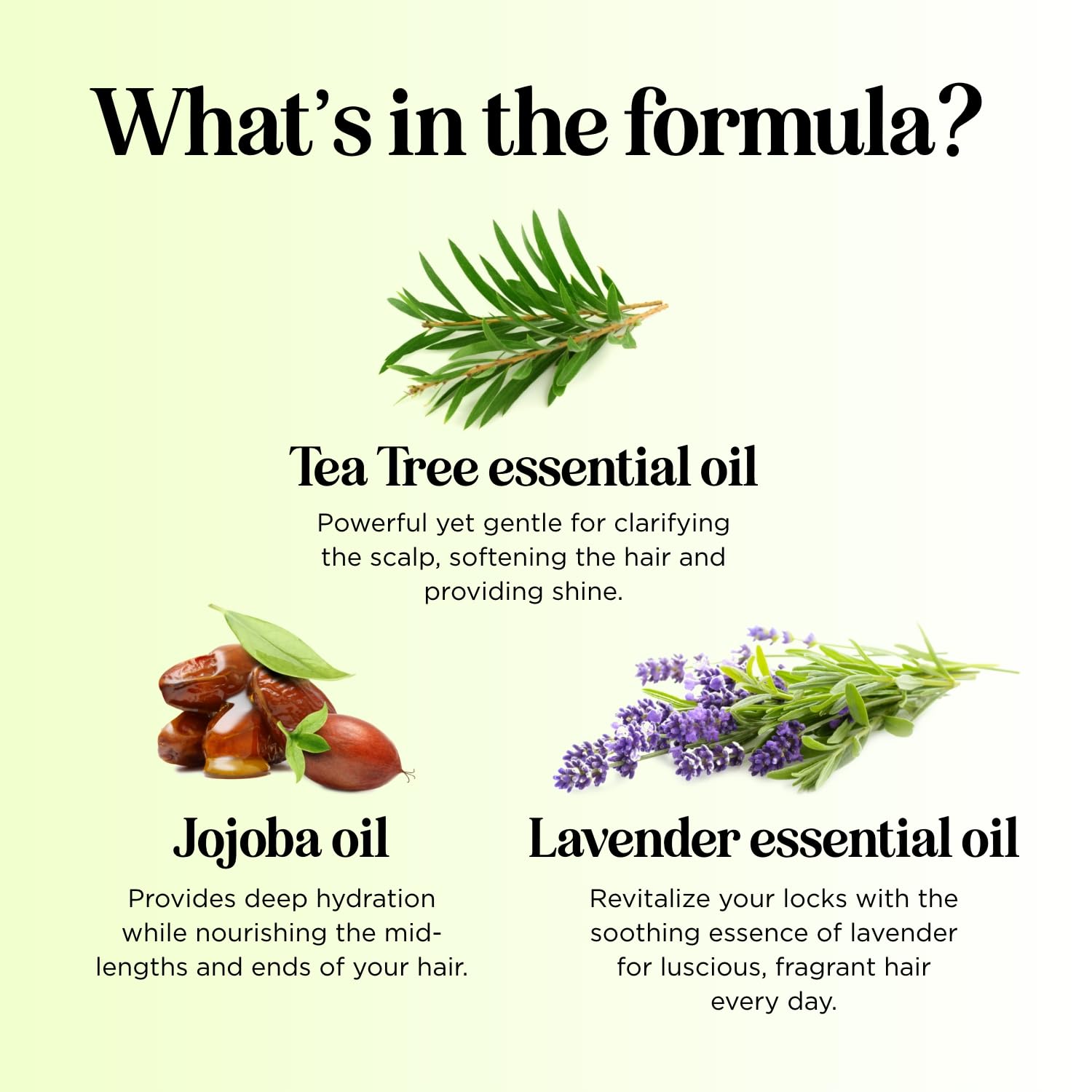 Maple Holistics Tea Tree Conditioner for Dry Hair — Sulfate-Free Nourishing Formula