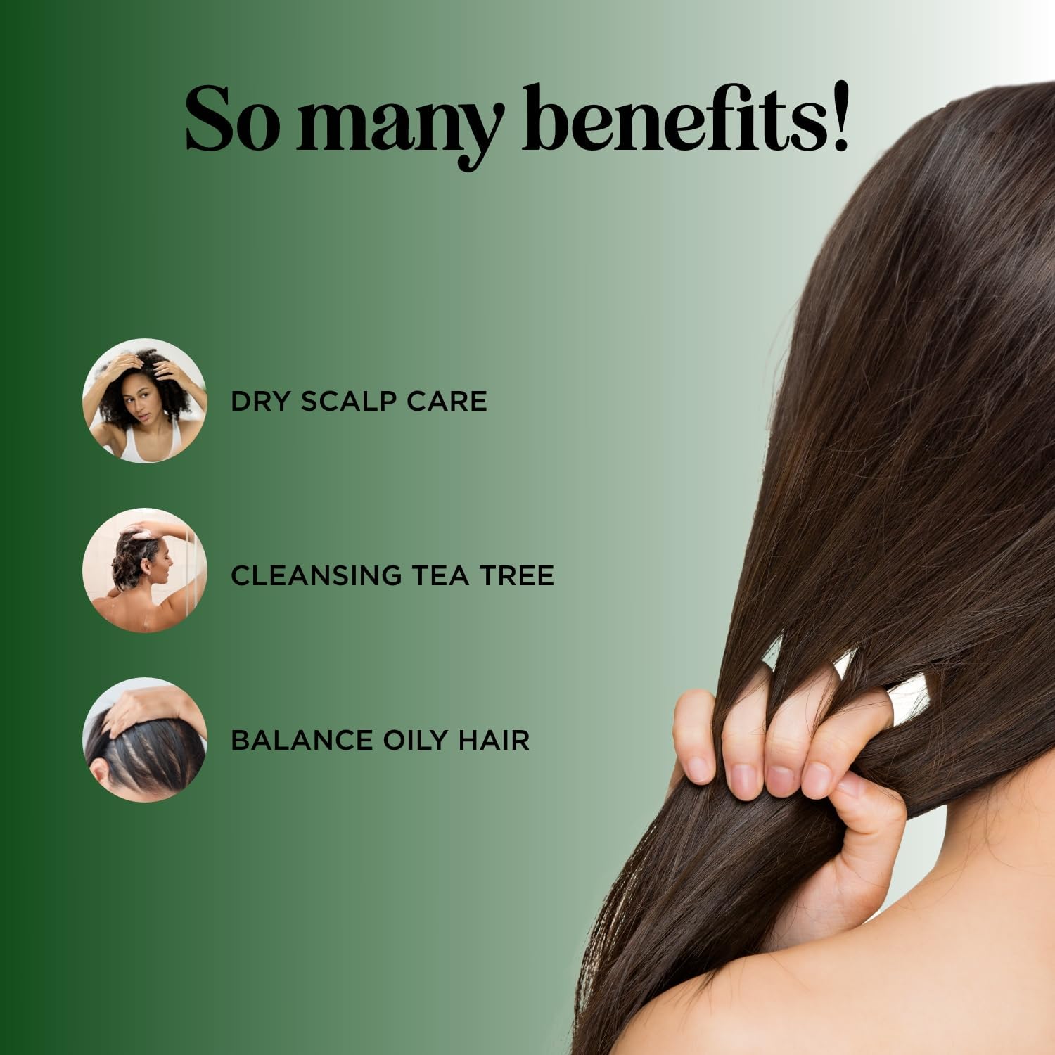 Maple Holistics Tea Tree Shampoo & Conditioner Set - Sulfate-Free for Oily Hair | Australian Tea Tree Oil, 25 fl oz