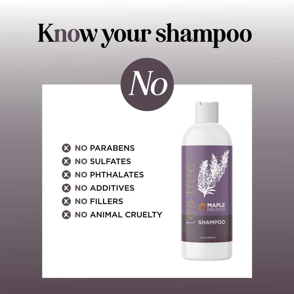 Maple Holistics Tea Tree Shampoo for Oily Hair - Clarifying, Sulfate & Paraben Free