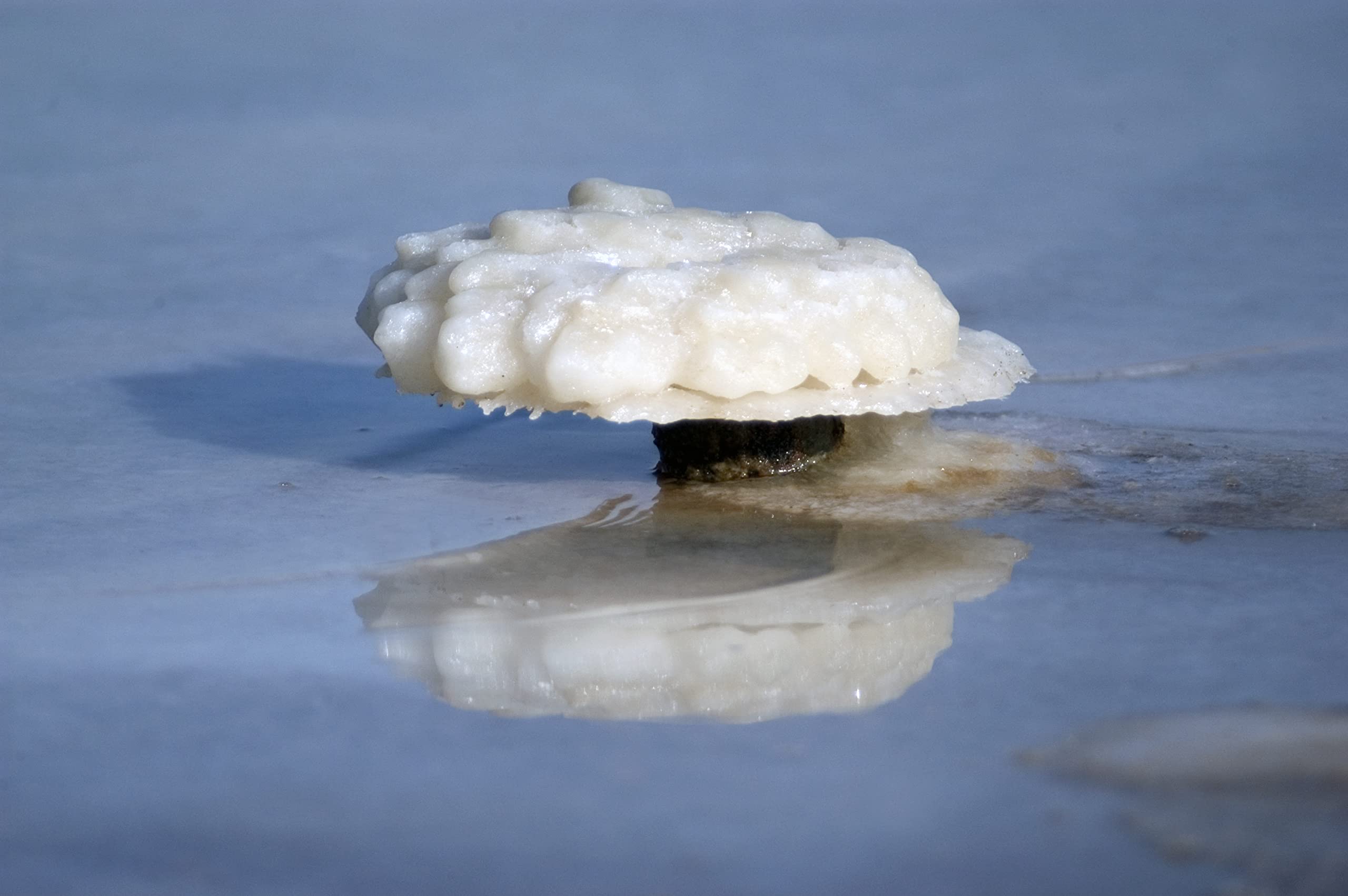 MARCO ESRA Dead Sea Salts for Soaking – Mineral-Rich Bath Salt