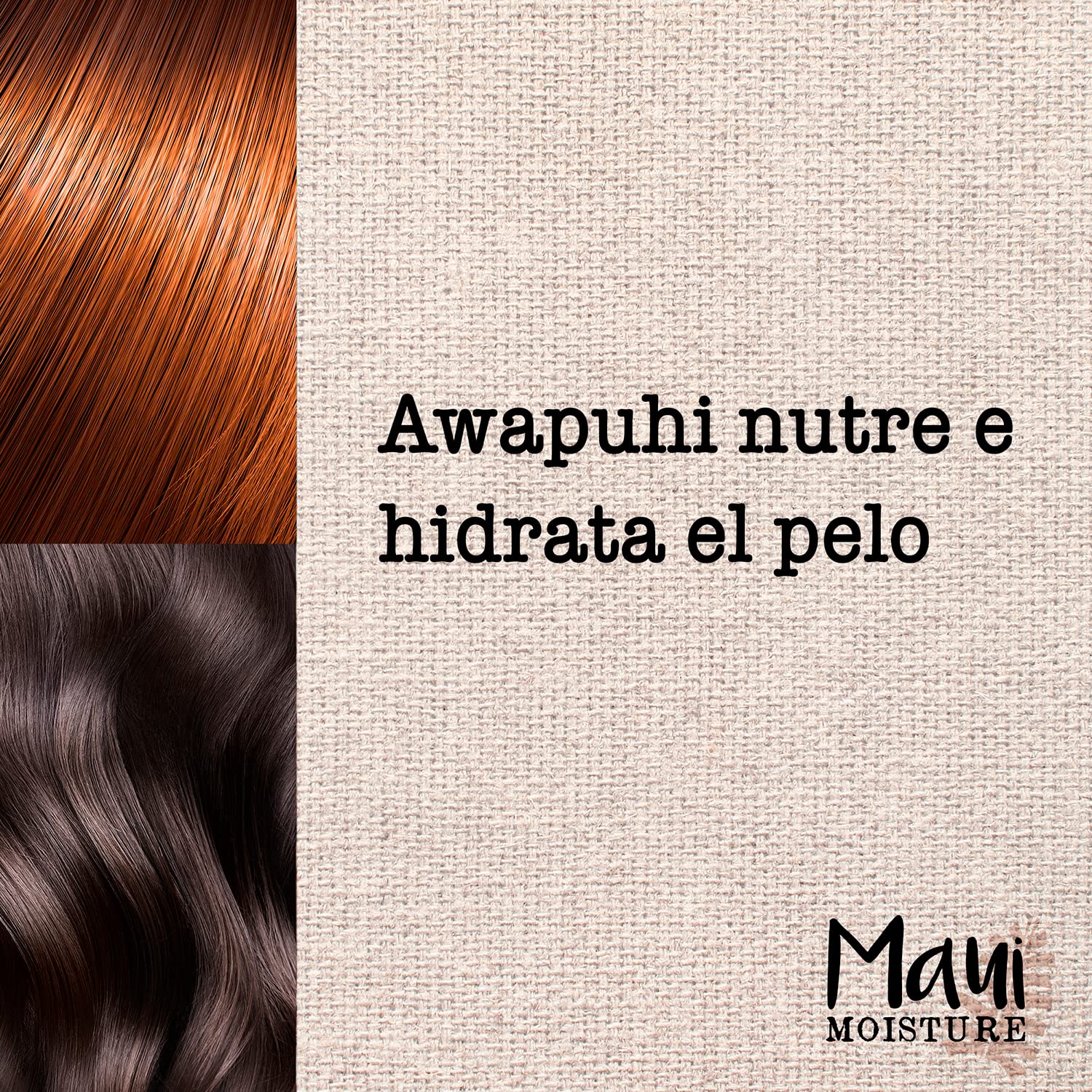 Maui Moisture Shine + Awapuhi Moisturizing Vegan Conditioner – Silicone & Sulfate Free, Aloe Base, Coconut Water, 13 oz