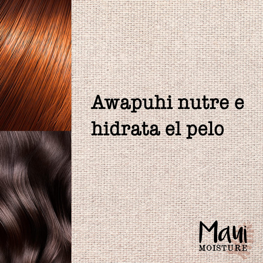 Maui Moisture Shine + Awapuhi Shampoo – Lightweight Hydration for Shiny Hair (13 oz)