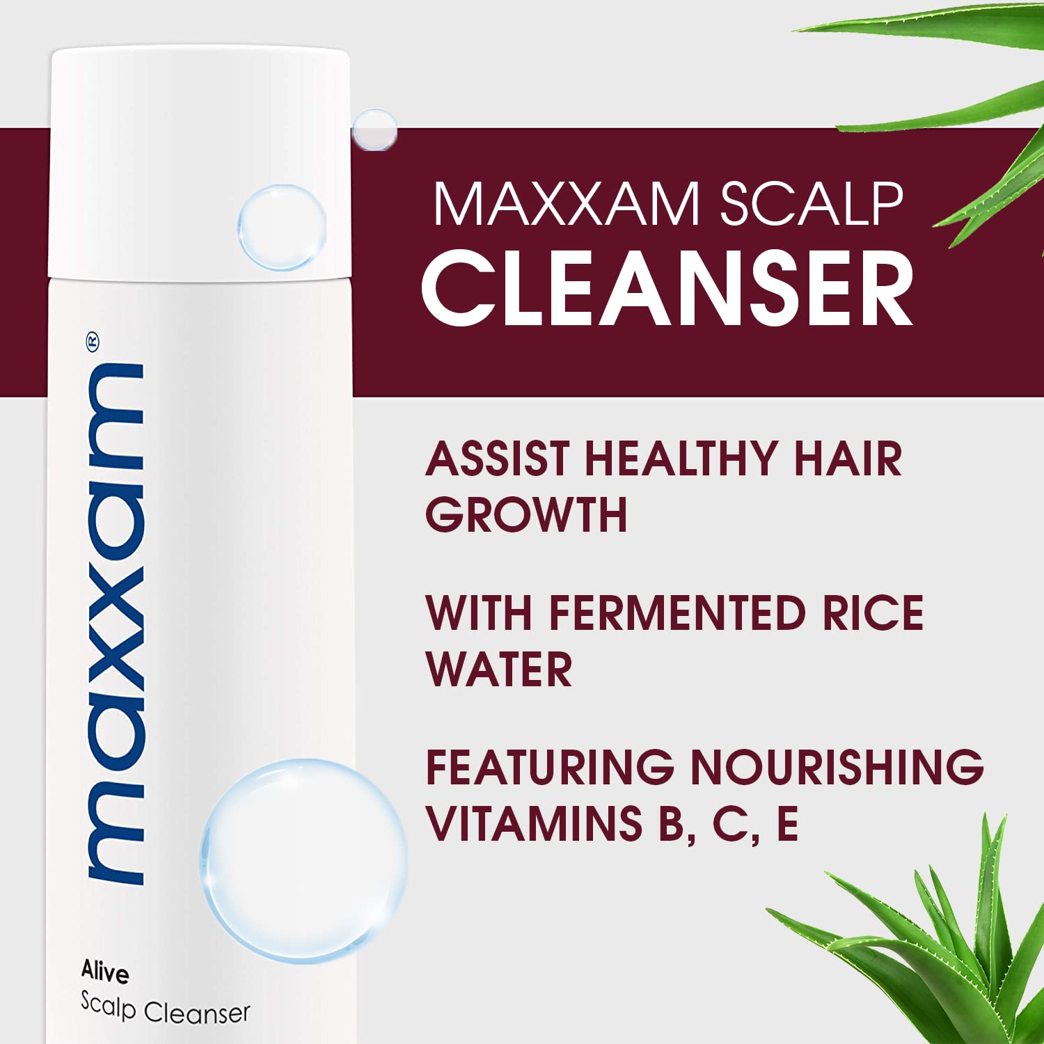 Maxxam Alive Cleansing Shampoo — Hair Growth & Scalp Care | Fermented Rice Formula