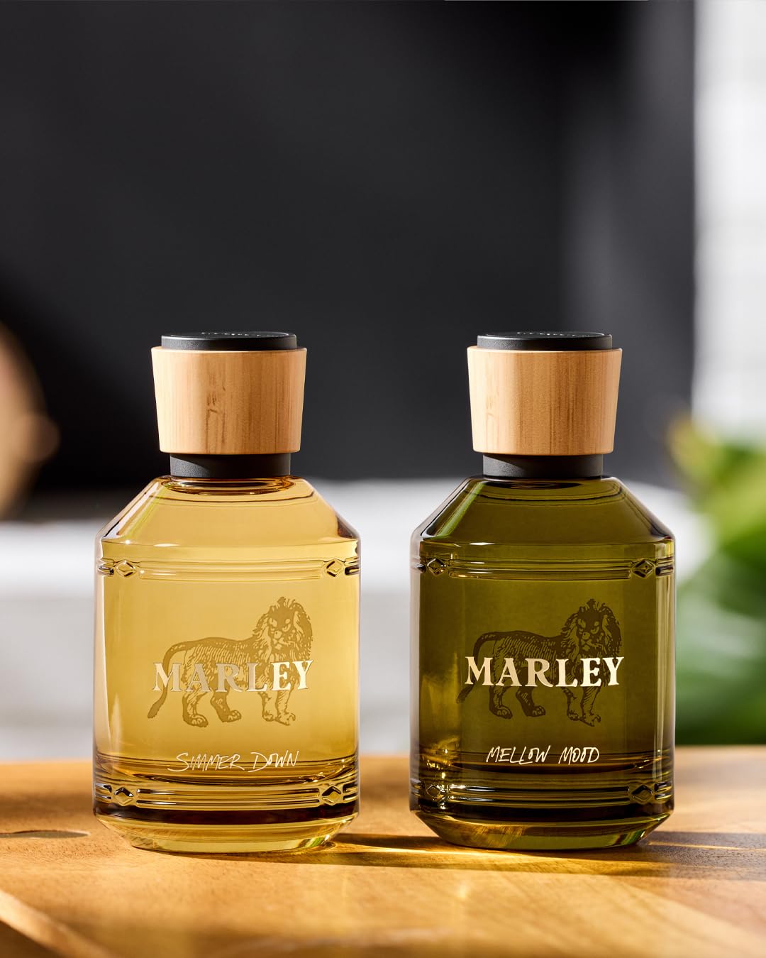 Michael Malul Marley Simmer Down EDP 100ml – Fresh, Warm & Uplifting