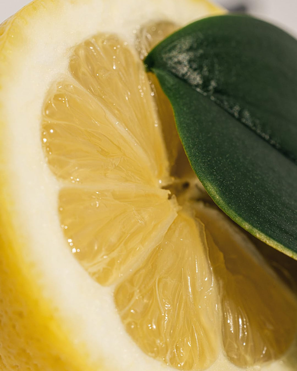 Michael Malul Zest + Vetiver 10ml Travel Size – Citrusy Vetiver Fragrance