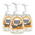 Molly's Suds Foaming Hand Soap Citrus Grove - 3x8.25 oz | Aloe & Coconut Oil, Cruelty-Free