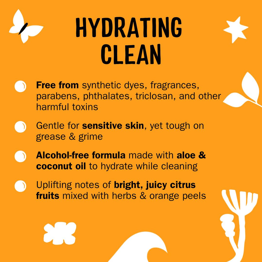 Molly's Suds Foaming Hand Soap Citrus Grove - 3x8.25 oz | Aloe & Coconut Oil, Cruelty-Free
