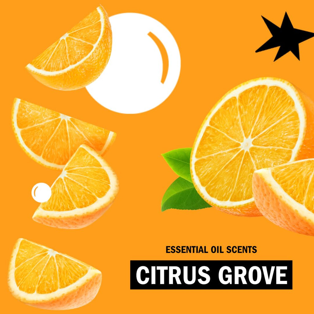 Molly's Suds Foaming Hand Soap Citrus Grove - 3x8.25 oz | Aloe & Coconut Oil, Cruelty-Free