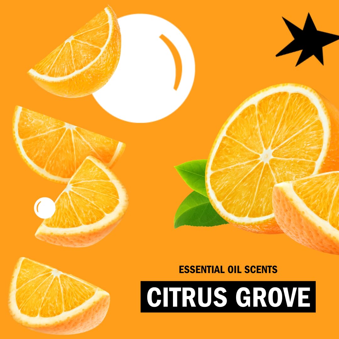 Molly's Suds Foaming Hand Soap Citrus Grove - 3x8.25 oz | Aloe & Coconut Oil, Cruelty-Free
