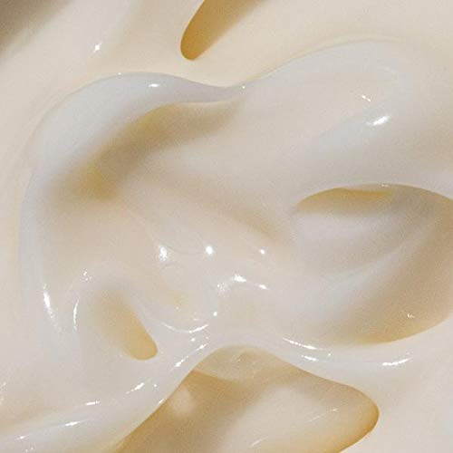 Moon Juice Cosmic Cream Vegan Moisturizer – Adaptogenic Dewy Lotion with Ashwagandha & Hyaluronic Acid