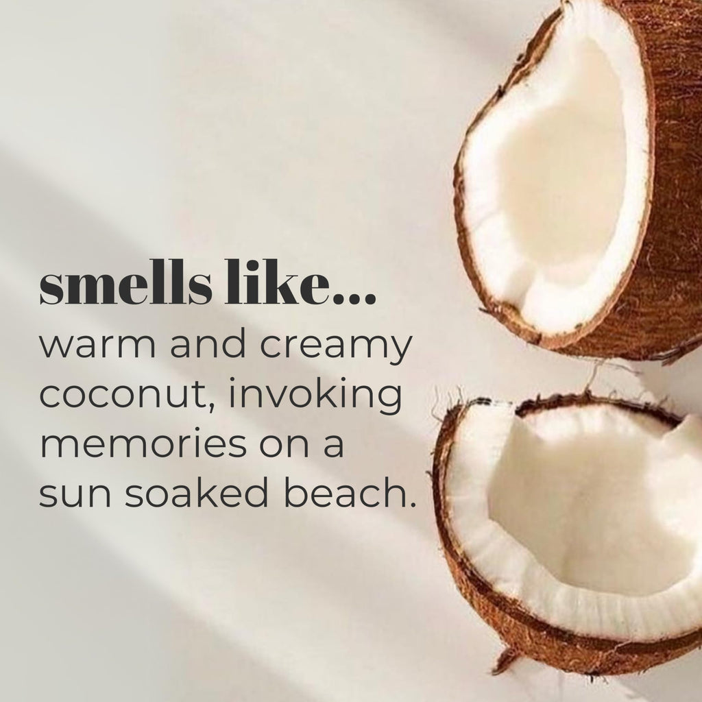 Mountain Ocean The Original Skin Trip Coconut Lotion - 8 Oz Pack of 6 | Lightweight, Fast-Absorbing Moisturizer