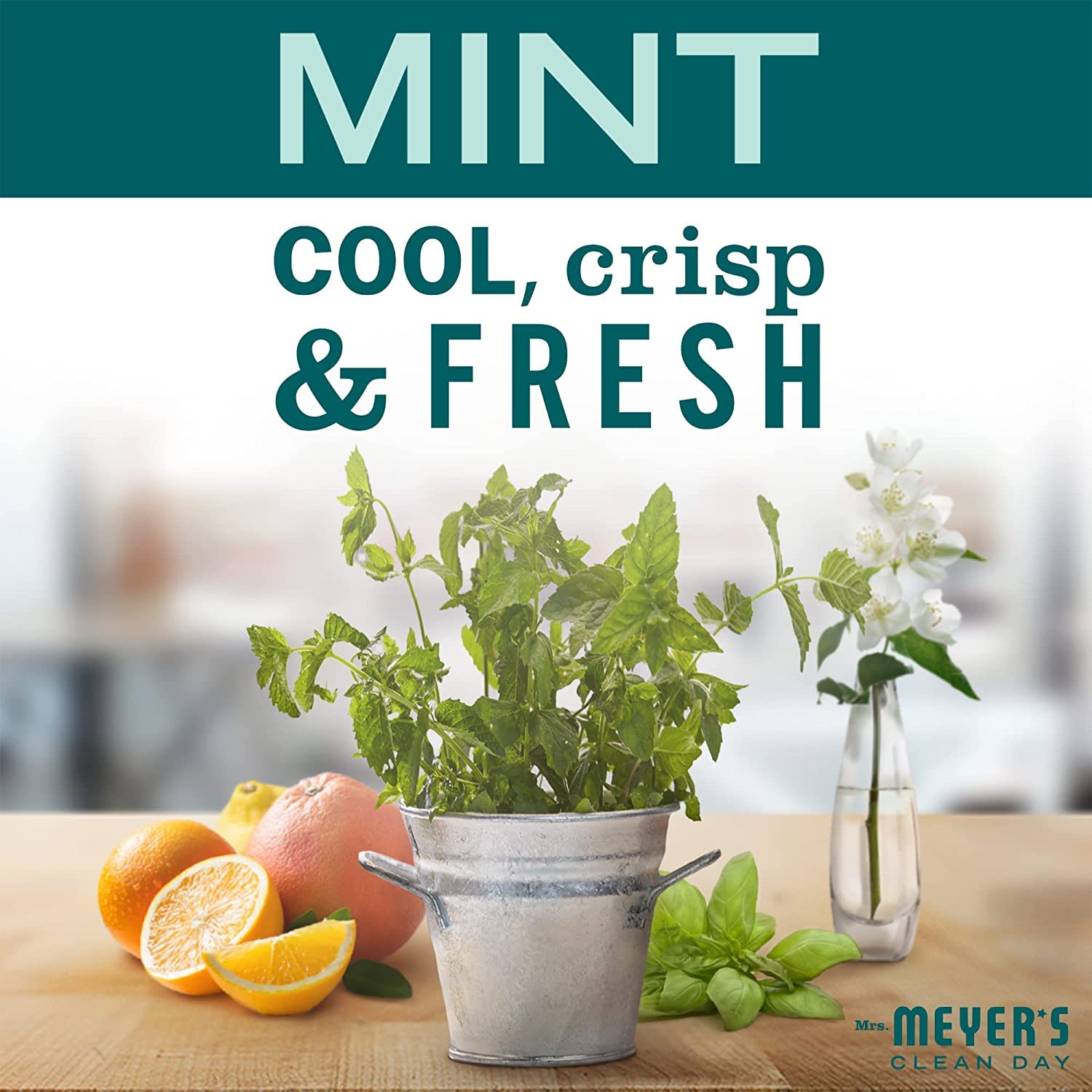 Mrs. MEYER'S CLEAN DAY Variety Pack: Hand Soap & Dish Soap – Mint