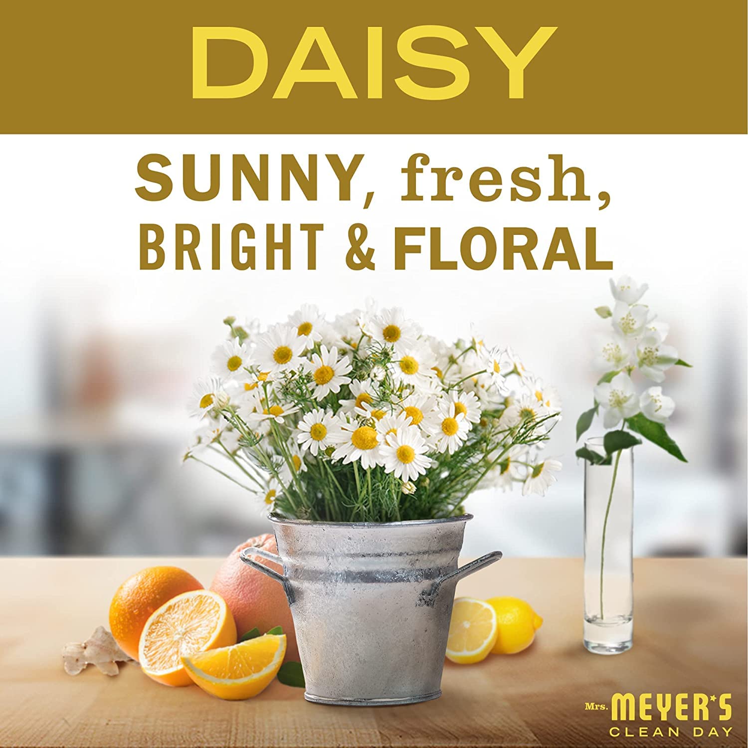 Mrs. MEYER'S CLEAN DAY Variety Pack: Lilac Hand Soap & Daisy Dish Soap