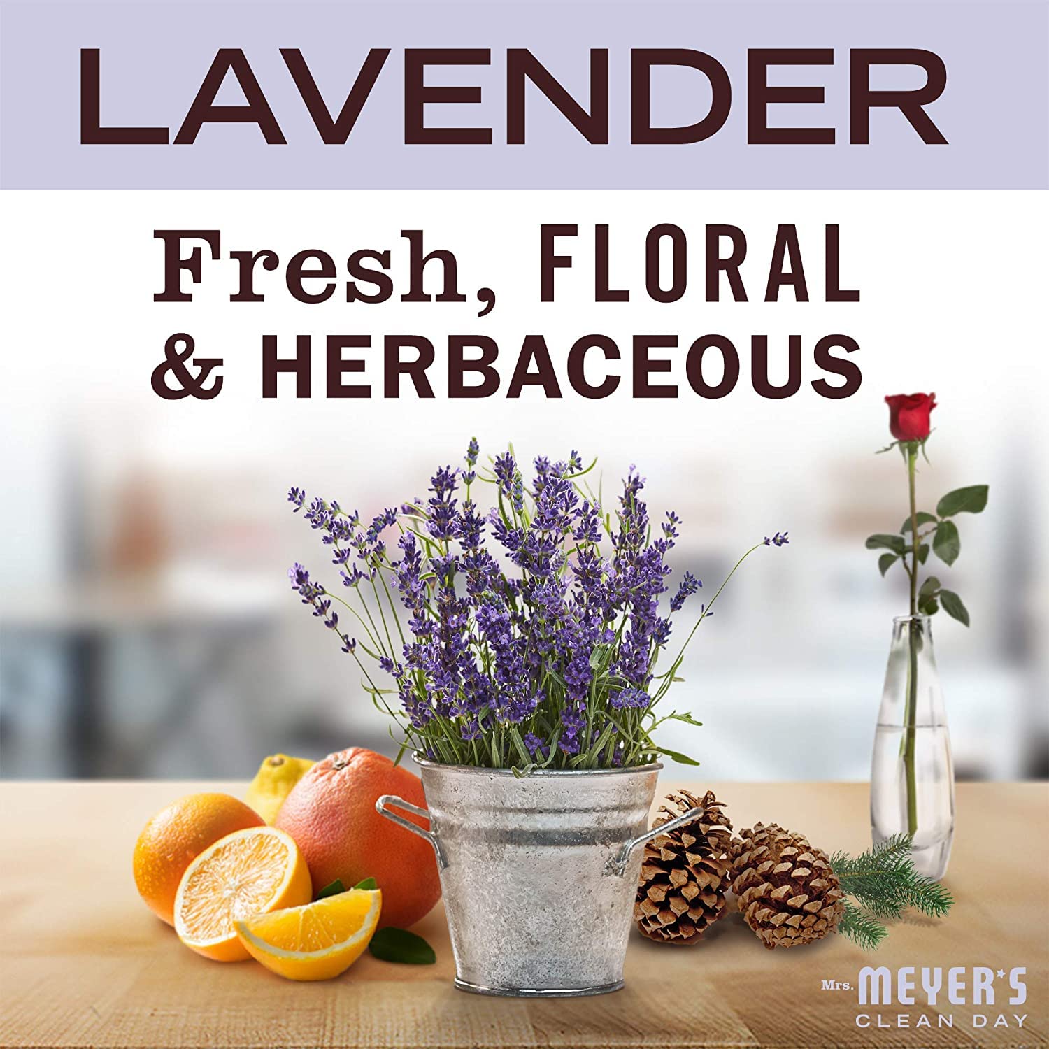 Mrs. MEYER'S CLEAN DAY Hand Soap Refill Variety Pack – Lemon Verbena, Lavender & Basil
