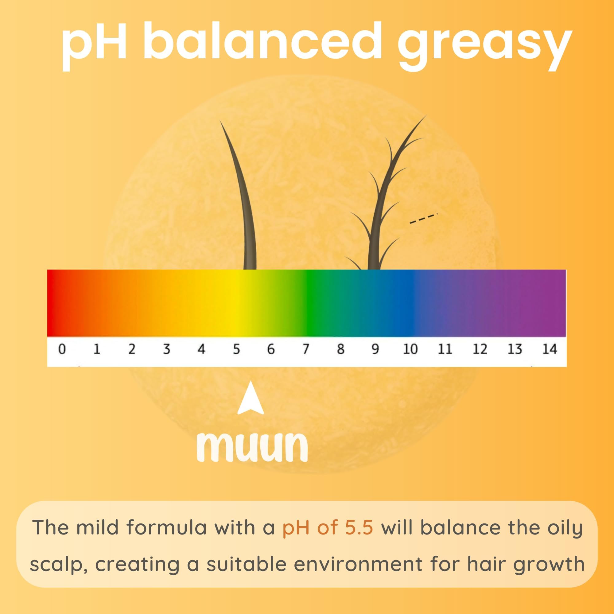 Muun Ginger Shampoo Bar Pack 3 – pH-Balanced, Sulfate-Free, Travel-Ready for Hair Growth & Strength