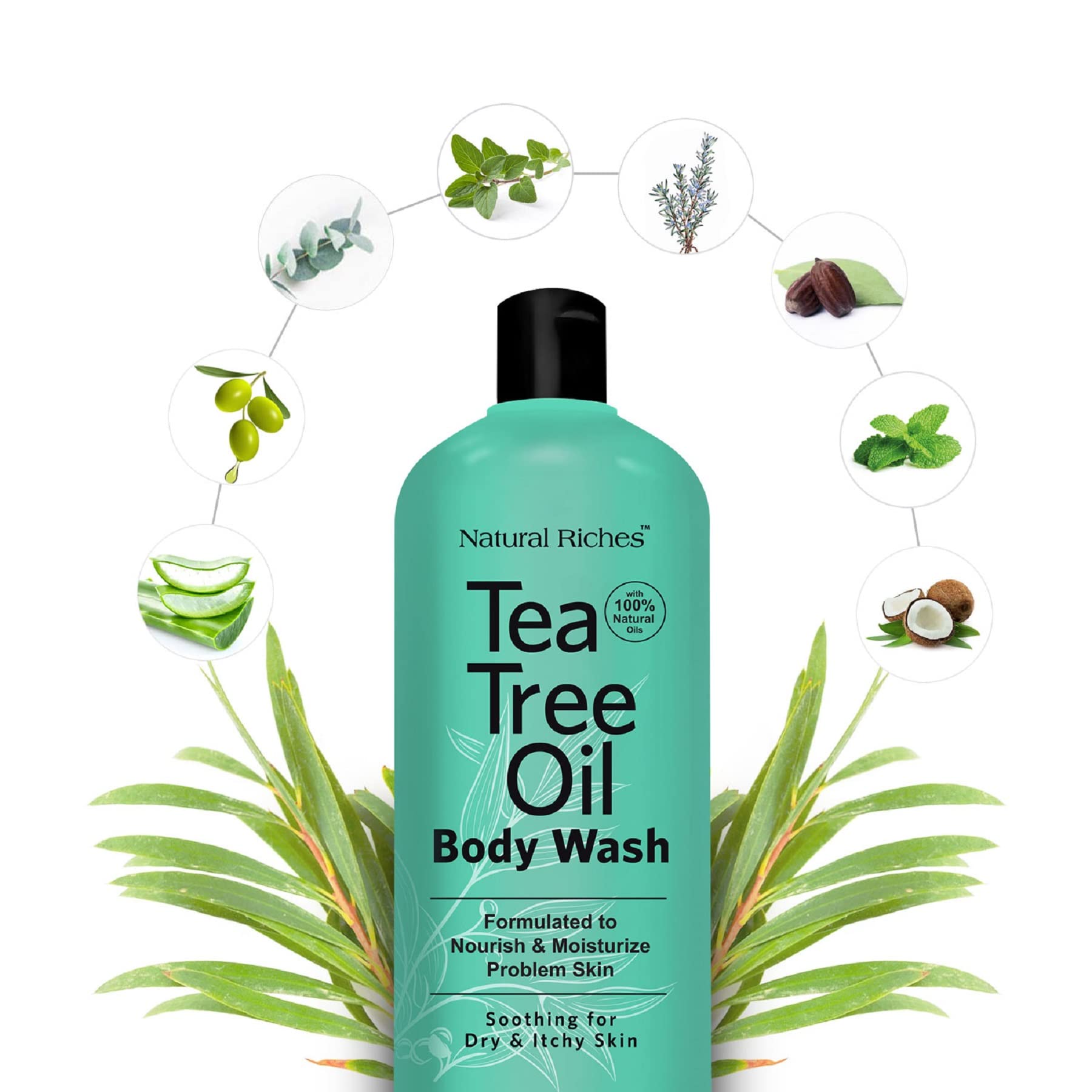 Natural Riches Tea Tree Body Wash 2x16 oz – Soothing, Hydrating for All Skin Types