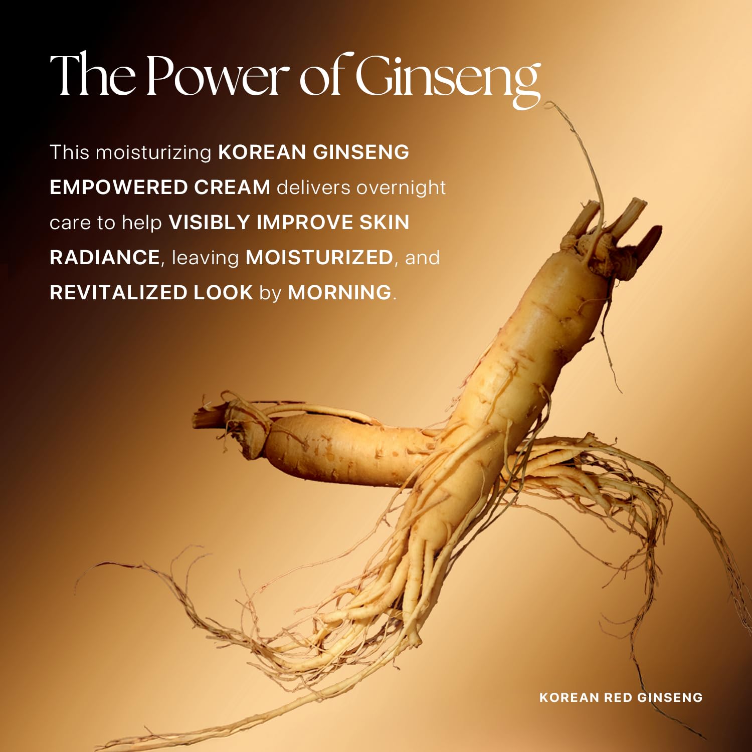 Nature Republic Ginseng Gold Silk Watery Cream – 6-Year Ginseng & 99.9% Pure Gold