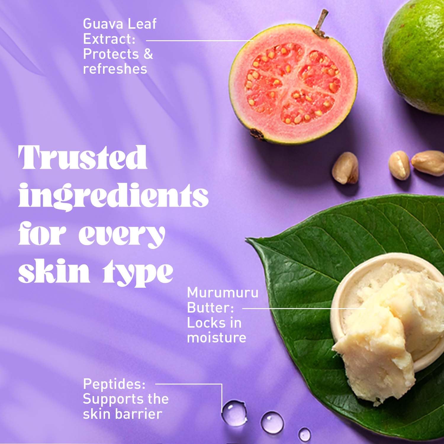 NATURE WELL Blissy Whipped Body Cream — Ultra-Moisturizing, Quick-Absorbing, Vanilla & Sandalwood, 12 oz