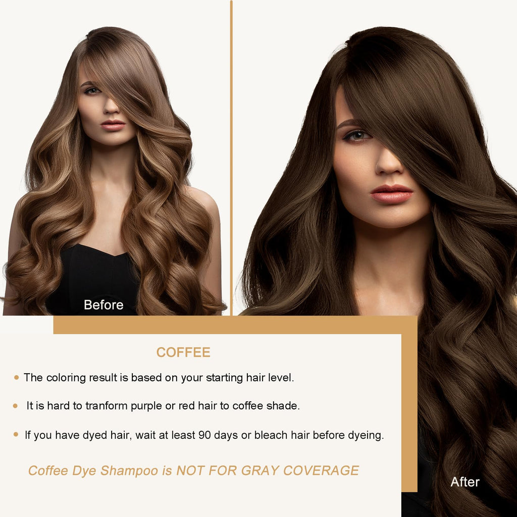 NCEPROHR Brown Hair Dye Shampoo – 3-in-1 Color, Easy to Use, Lasting Brown Shade (16.9 fl oz / 500 ml)