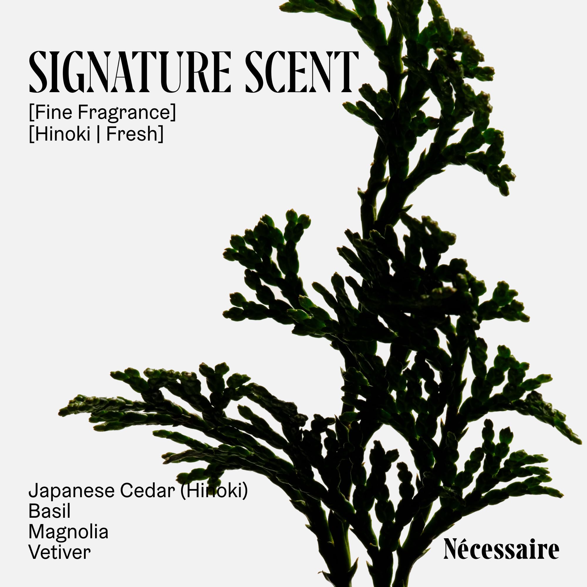Nécessaire Hinoki Body Lotion – Multi-Peptide Moisturizer with 2.5% Niacinamide | Dermatologist-Tested, Vegan, Hypoallergenic, 15.2oz
