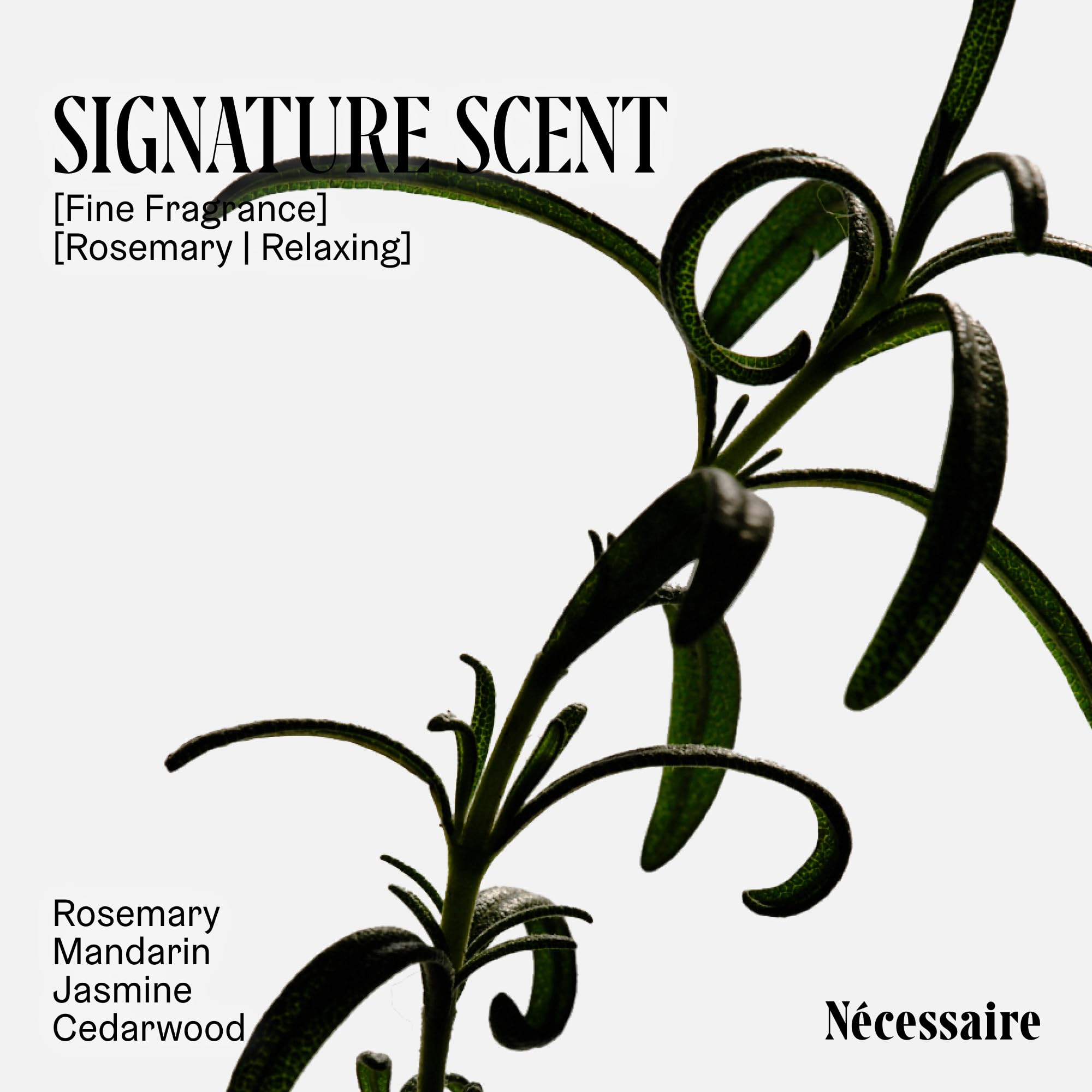 Nécessaire Rosemary Hair Duo – Strengthening Shampoo & Conditioner for Thinning Hair | Sulfate-Free, Color-Safe 500 ml