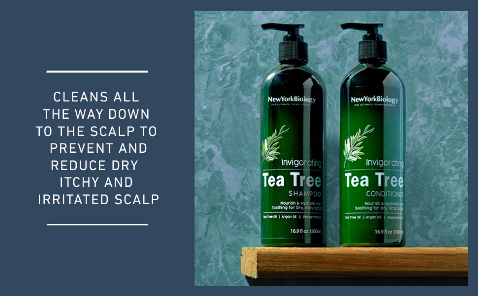New York Biology Tea Tree Conditioner – Deep Cleanser for Dandruff & Dry Scalp – Hair Growth Support – 16.9 fl oz