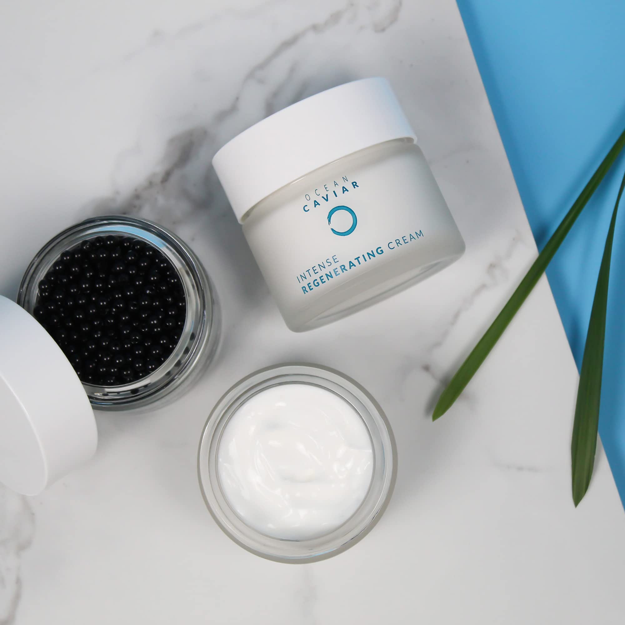 Noche Y Dia Ocean Caviar Face Cream – 60 mL (2.04 fl oz) | Deep Hydration & Clean Beauty