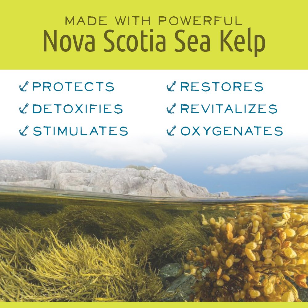 Nova Scotia Fisherman Hand and Body Cream – Vegan, Paraben Free, Sea Kelp & Seabuckthorn