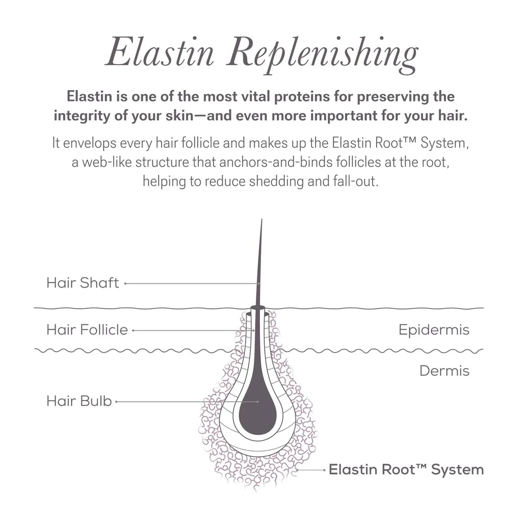 NULASTIN Scalp Serum — Lightweight, Fast-Absorbing Treatment for Hair Density (1.7 oz)