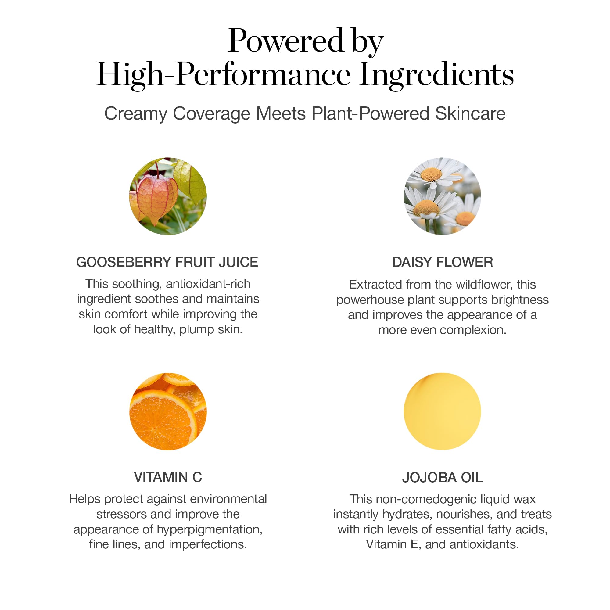 Ogee Complexion Perfecting Liquid Foundation – Lightweight Tinted Moisturizer (Sequoia 13.0C) with Vitamin C & Jojoba Oil