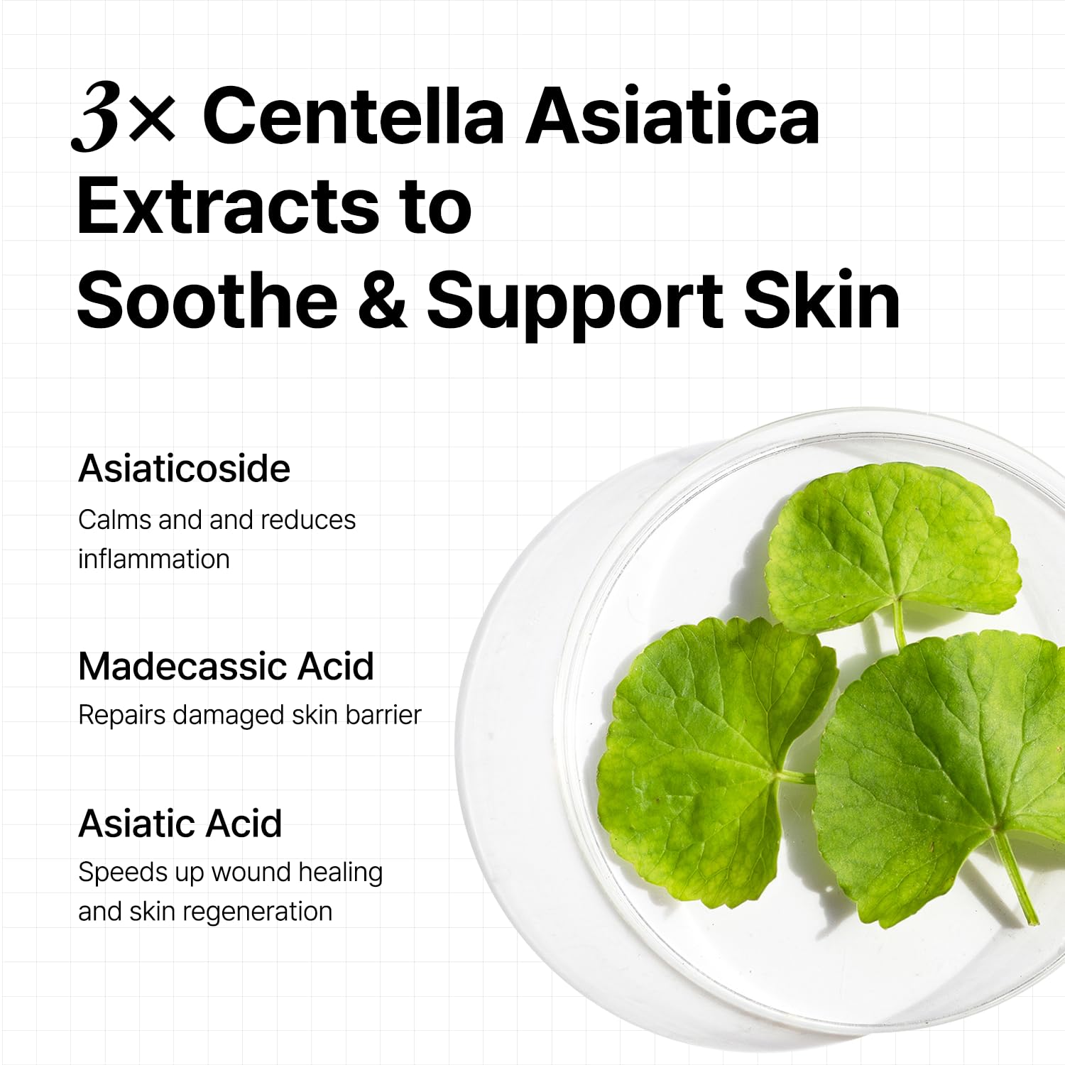 OOZNARY Vita 3 Aurora Toner – Vitamin ACE, Triple Centella & Sea Buckthorn for Radiant Glow