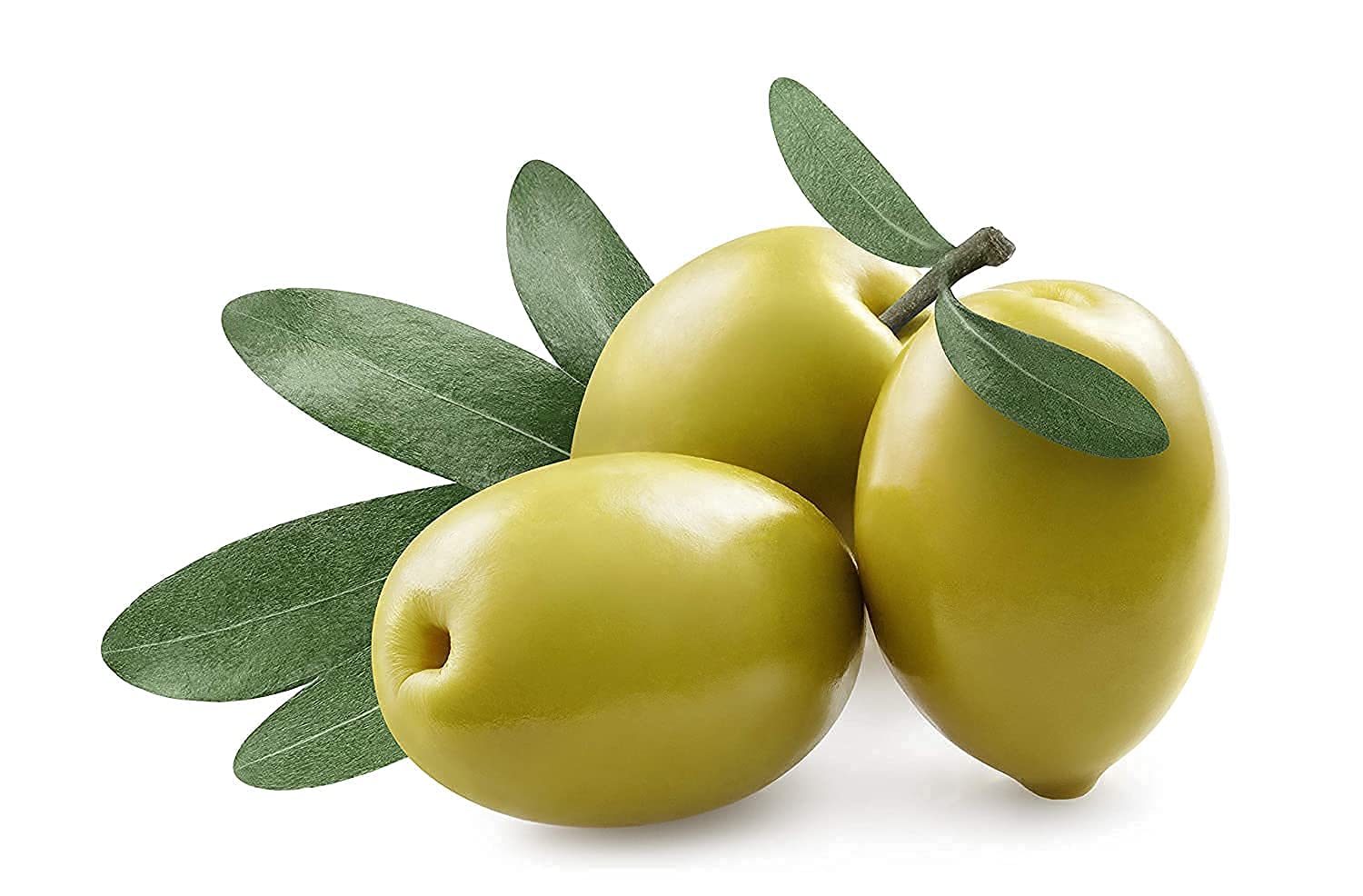 OPO Squalane Oil – Plant-Derived Olive Squalane, 16 oz, Ultra Hydration