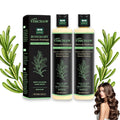 Organic Rosemary Hair Growth Shampoo for Thinning Hair & Hair Loss – Thickening & Strengthening Formula with Hydrolyzed Keratin (2-Pcs)