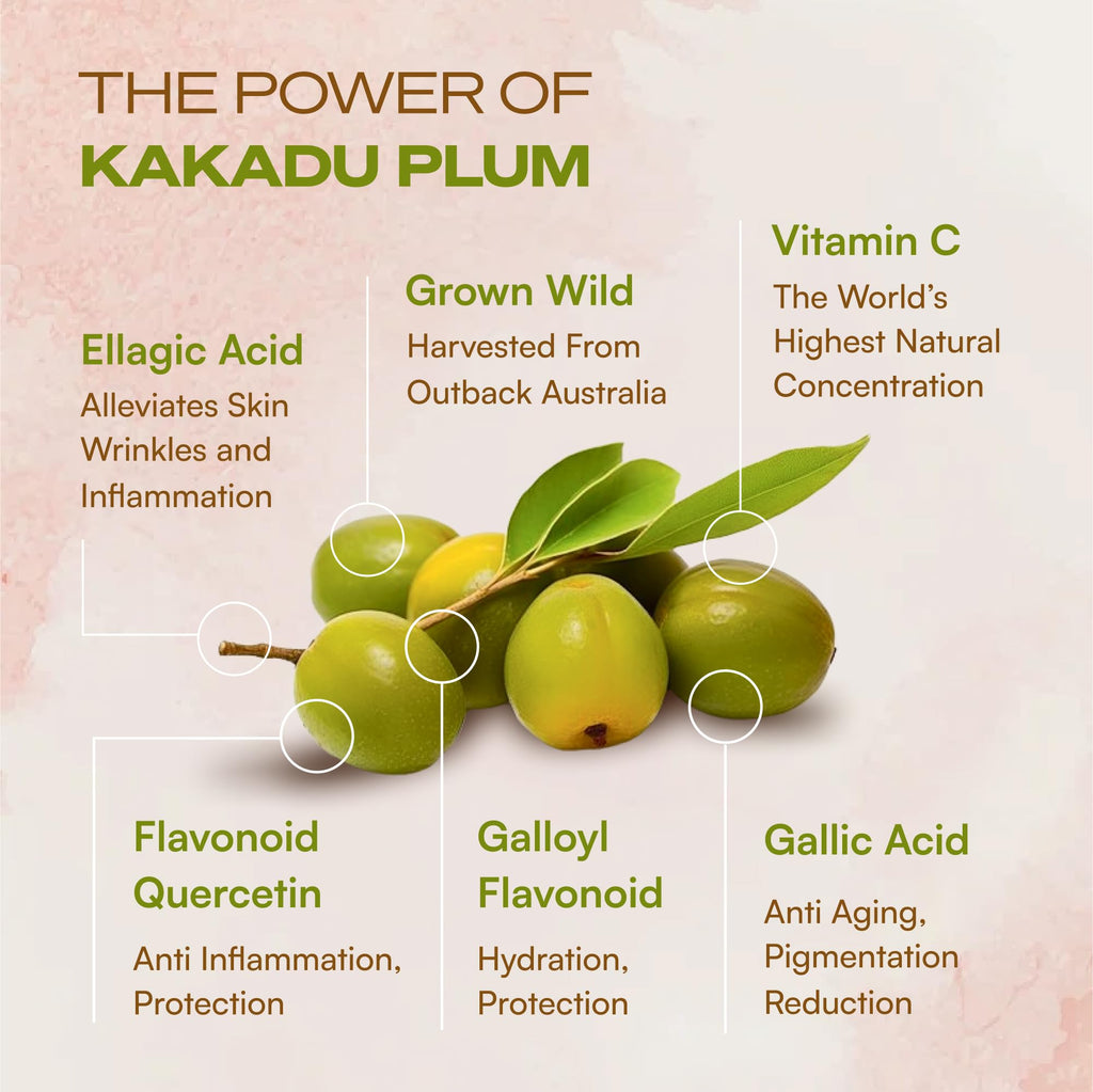 Outback Botanics Vitamin C Serum with Kakadu Plum | 100x Vitamin C, Hydrating & Anti-Aging | 1 fl oz