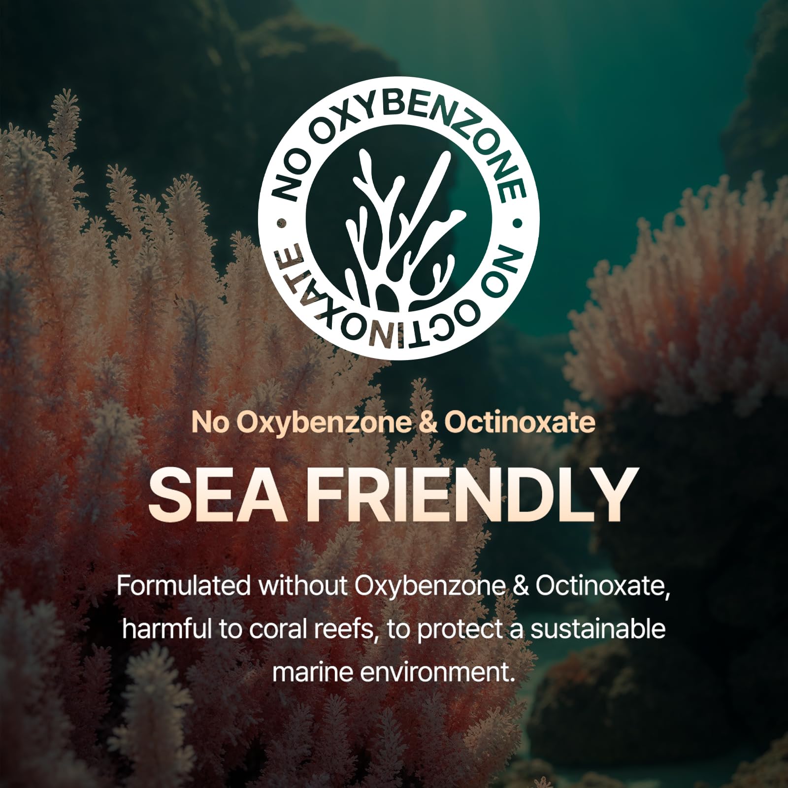 OxygenCeuticals TP Sun Guard SPF 50+ | Reef-Friendly, No White Cast, Chamomile Scent