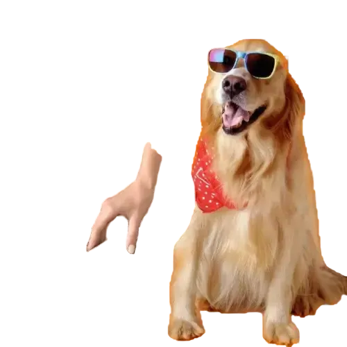 2-in-1 Groominkitg