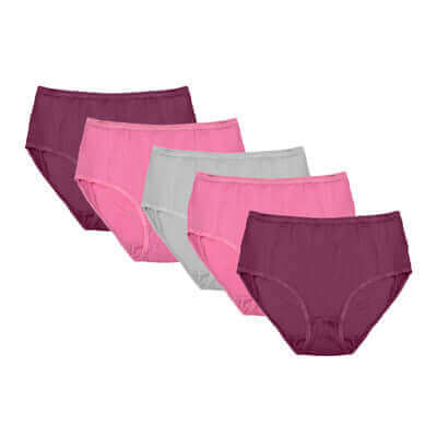 Daisy Dreamer Pack Of 10 Womens Midi Briefs Cotton Breathable Assorted Styles Comfortable