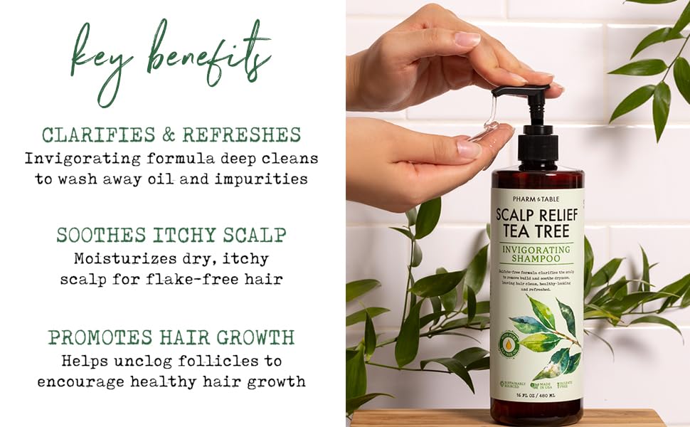 PHARM TO TABLE Tea Tree Shampoo – Deep Cleansing, Sulfate-Free (16.2oz) for Dry, Itchy Scalp
